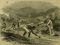 5.1. washing for gold. PD (1).jpg